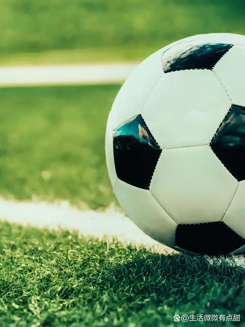 球探比分官方二维码